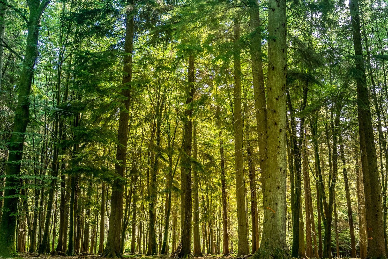 ⑦「持続可能型ツーリズムが生み出す付加価値」